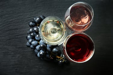 Откройте для себя старинный метод виноделия в Cantina TerraQuilia